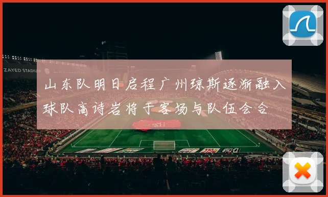 山东队明日启程广州琼斯逐渐融入球队高诗岩将于客场与队伍会合