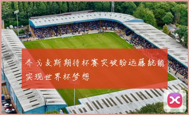 乔戈麦斯期待杯赛突破盼远藤航能实现世界杯梦想