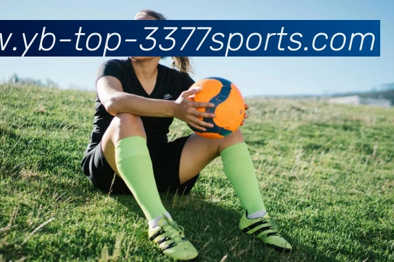 3377体育APP 封面图